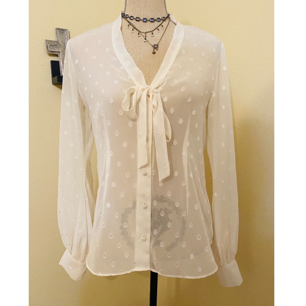 EXPRESS sheer chiffon blouse
